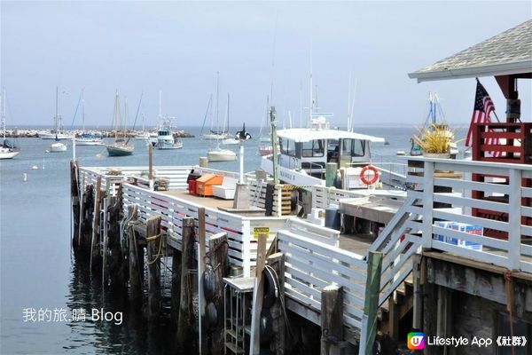 我去美國.Big Sur旅跑 - 4小時觀鯨團 @ Monterey