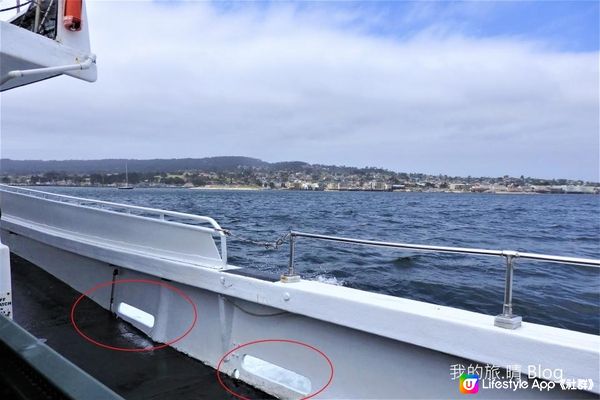 我去美國.Big Sur旅跑 - 4小時觀鯨團 @ Monterey