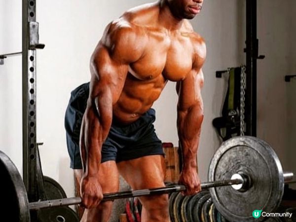 鍛鍊全身肌肉,你會選哪一個動作呢?