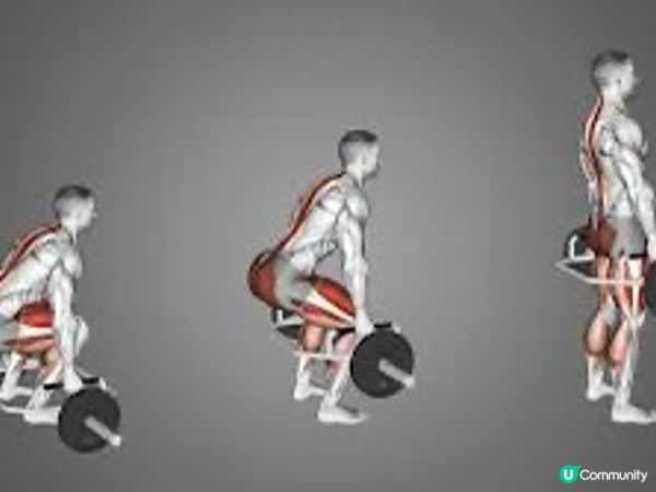 鍛鍊全身肌肉,你會選哪一個動作呢?