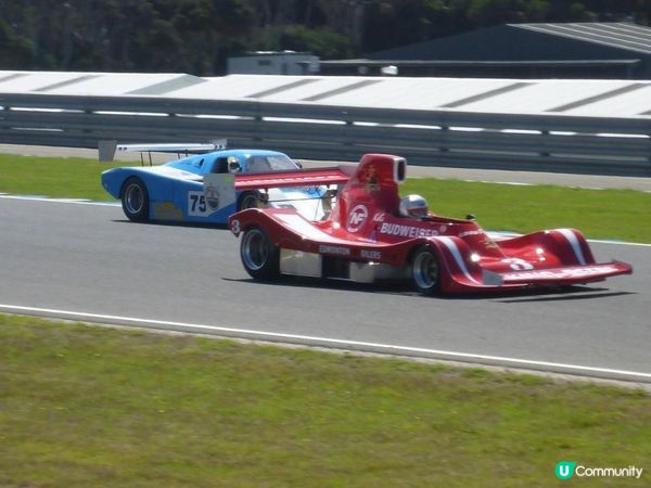 【墨爾本自駕】菲利普島看企鵝