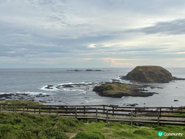 【墨爾本自駕】菲利普島看企鵝