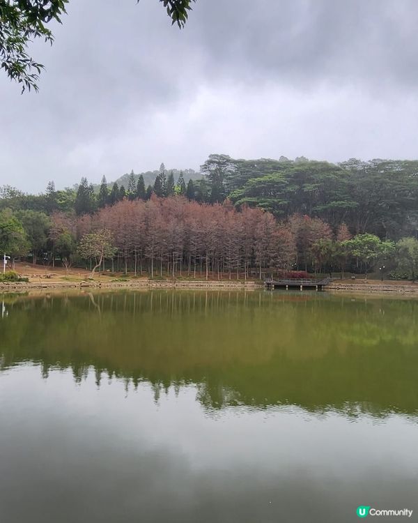 城市綠洲🌿蓮花山公園