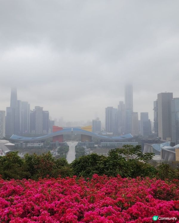 城市綠洲🌿蓮花山公園