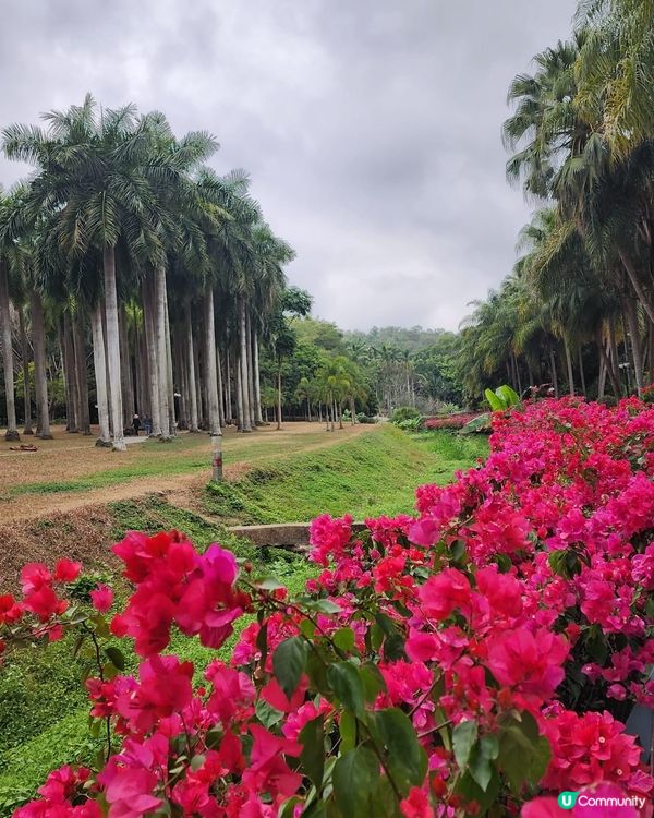城市綠洲🌿蓮花山公園
