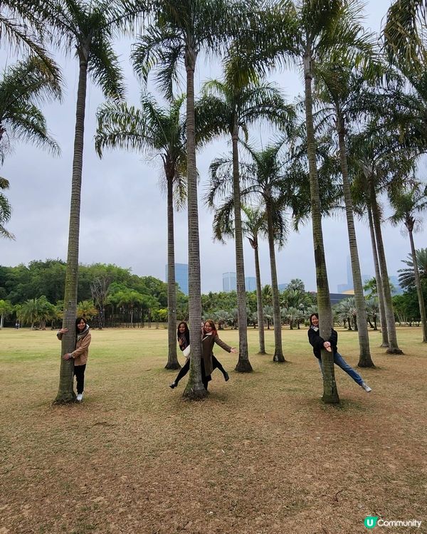 城市綠洲🌿蓮花山公園