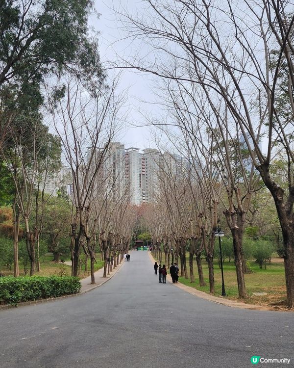 城市綠洲🌿蓮花山公園