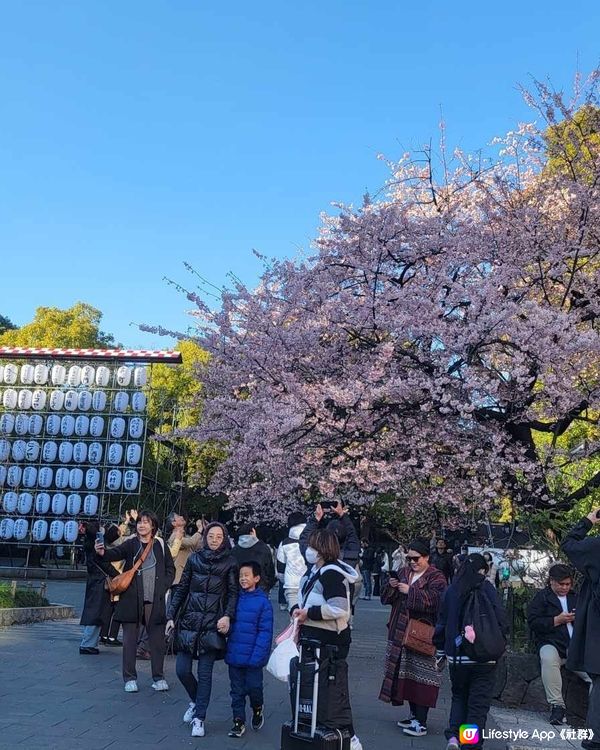 日本之旅