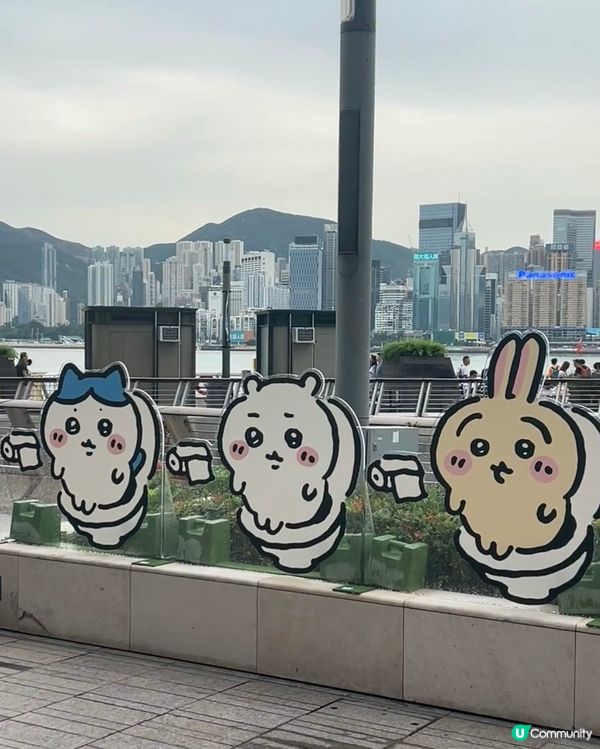 必打卡Chiikawa展🤩 