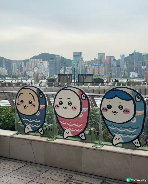 必打卡Chiikawa展🤩 