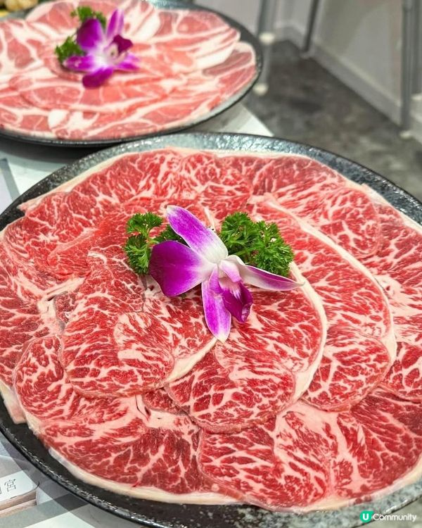 花月宮火鍋放題🤤屯門海鮮驚喜！🦀