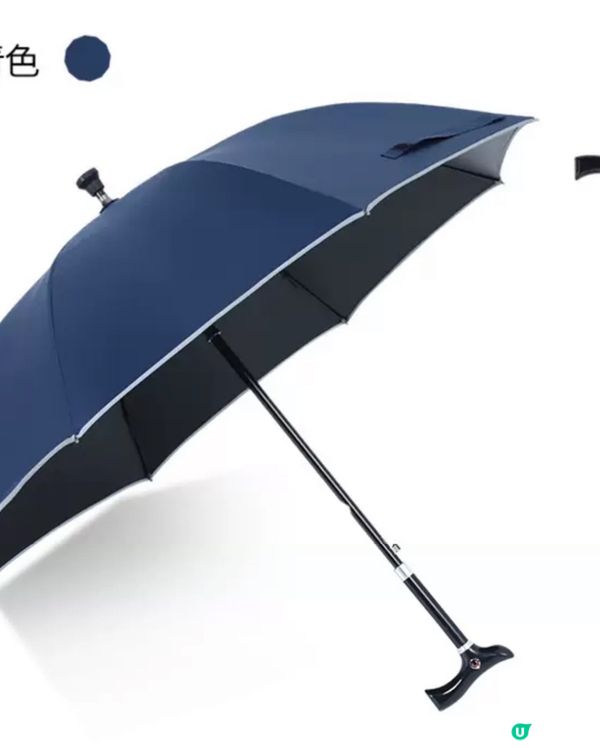 兩用雨傘