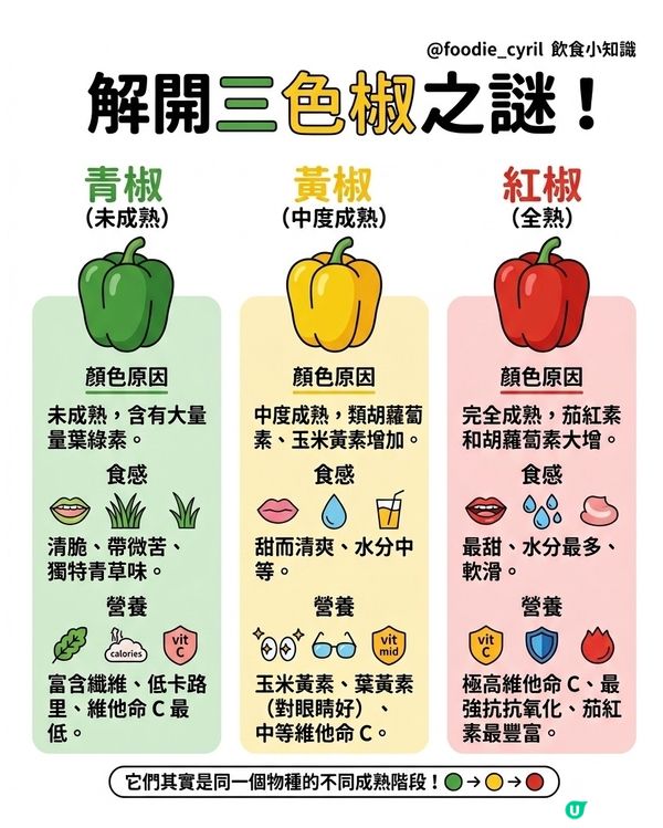 解開​🟩三​🟨色​🟥椒之謎🤔！
