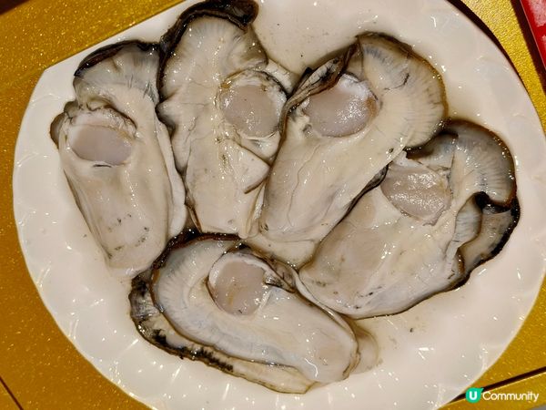 通宵後的豪華早餐！橫琴生蠔雞火鍋超滿足🦪