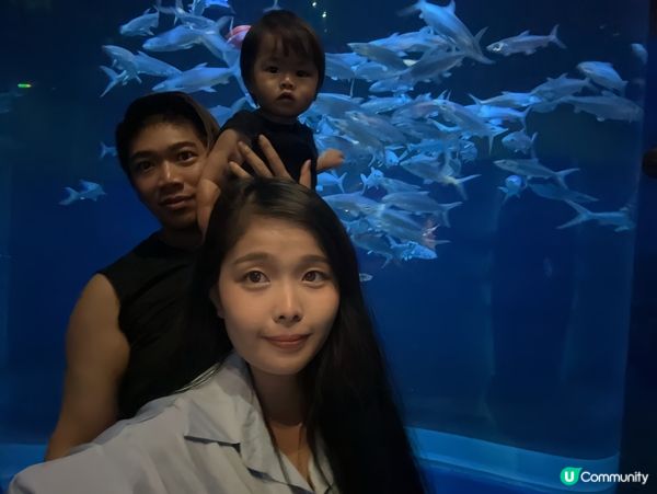 親子必去海洋公園