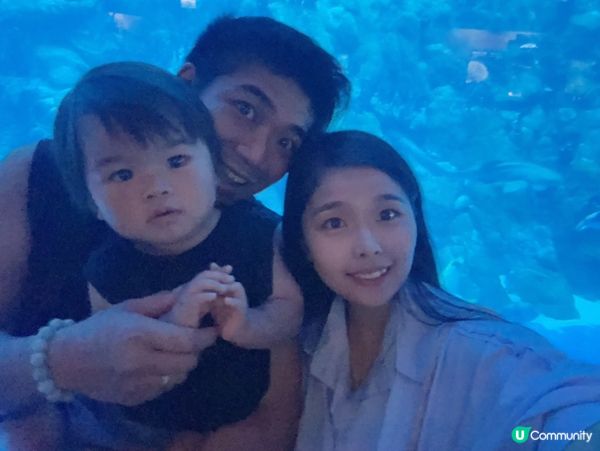 親子必去海洋公園