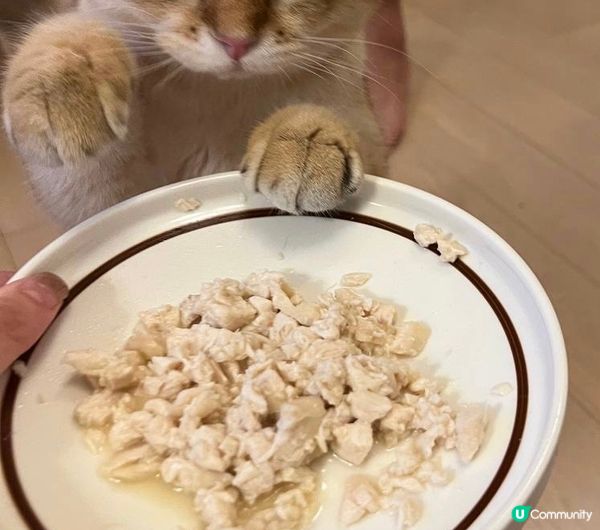 我叫DayDay最鐘意食野！所要比人叫肥Day! 我要食嘢啊...