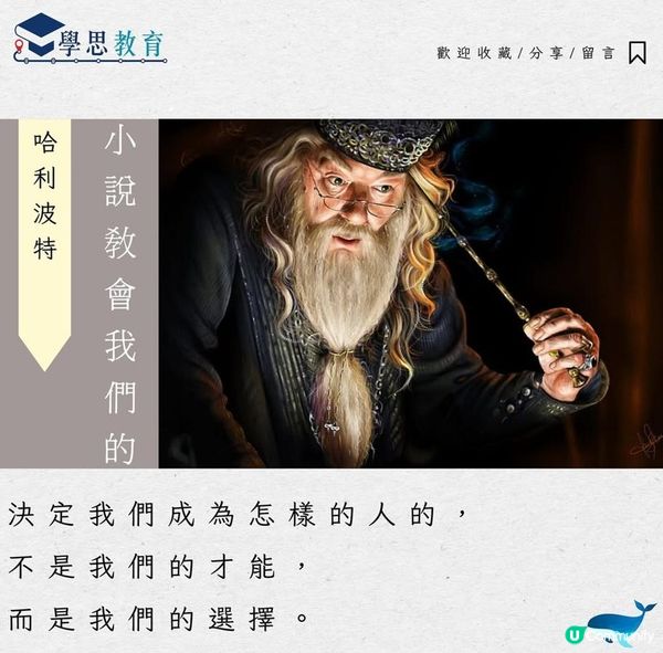 小說教會我們的……《哈利波特 》丨中文sba/閱讀報告/讀後感/文學賞析/詩詞