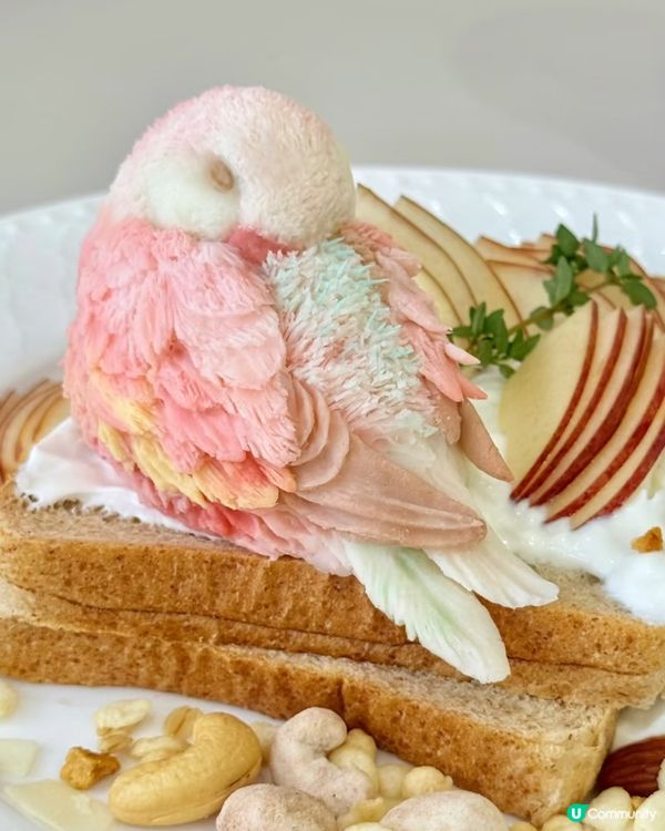 鸚鵡奶糕&水果乳酪多士🥪😍😍