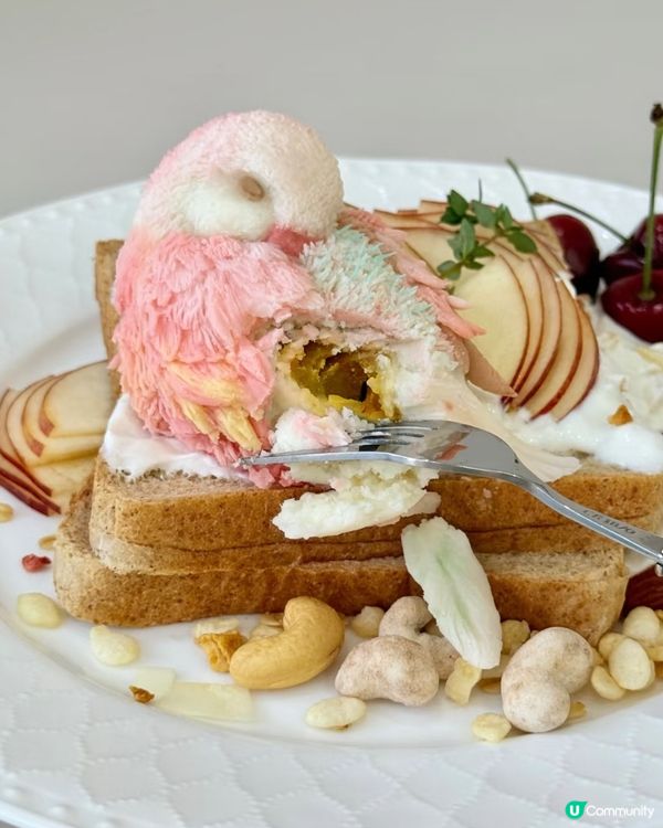 鸚鵡奶糕&水果乳酪多士🥪😍😍