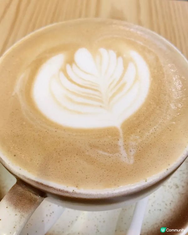 肥美蚵仔鮭魚蝦卵魯肉飯