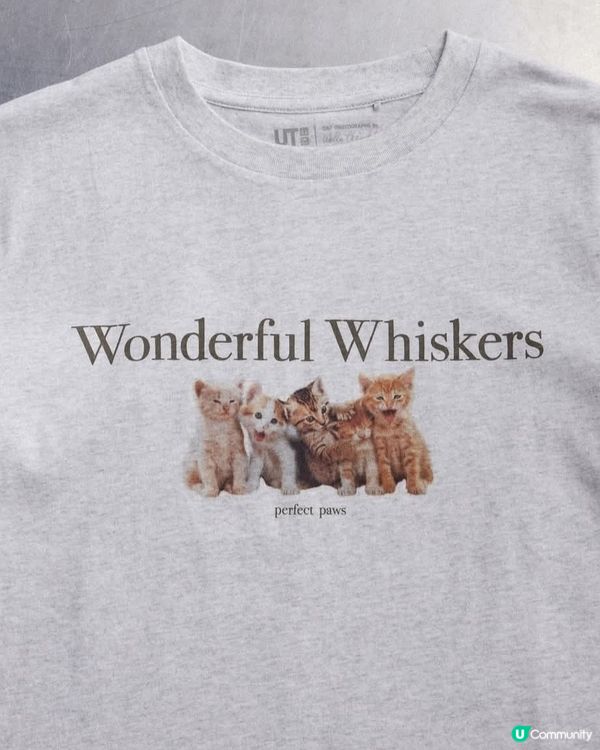 春裝好多貓咪衫