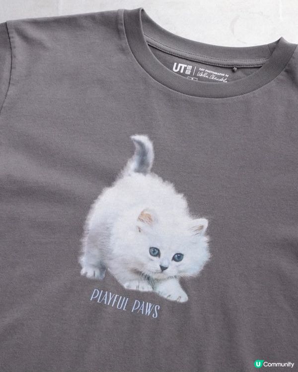 春裝好多貓咪衫