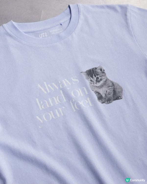 春裝好多貓咪衫