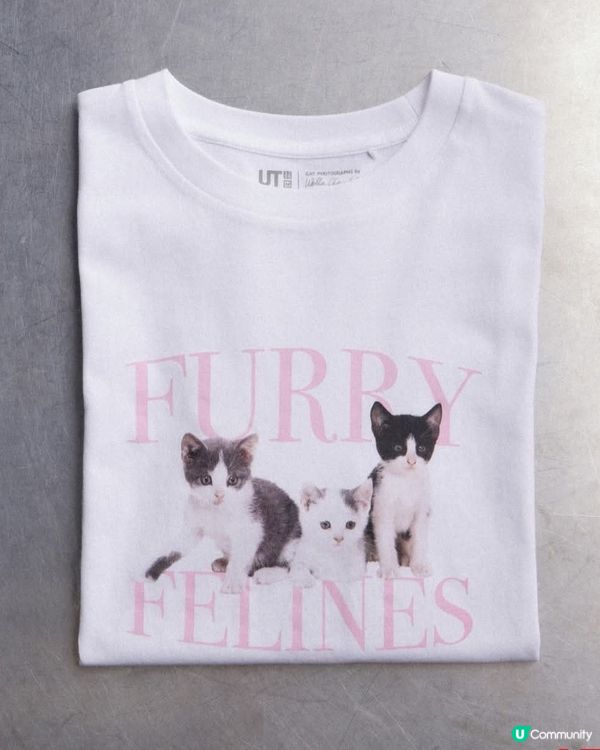 春裝好多貓咪衫