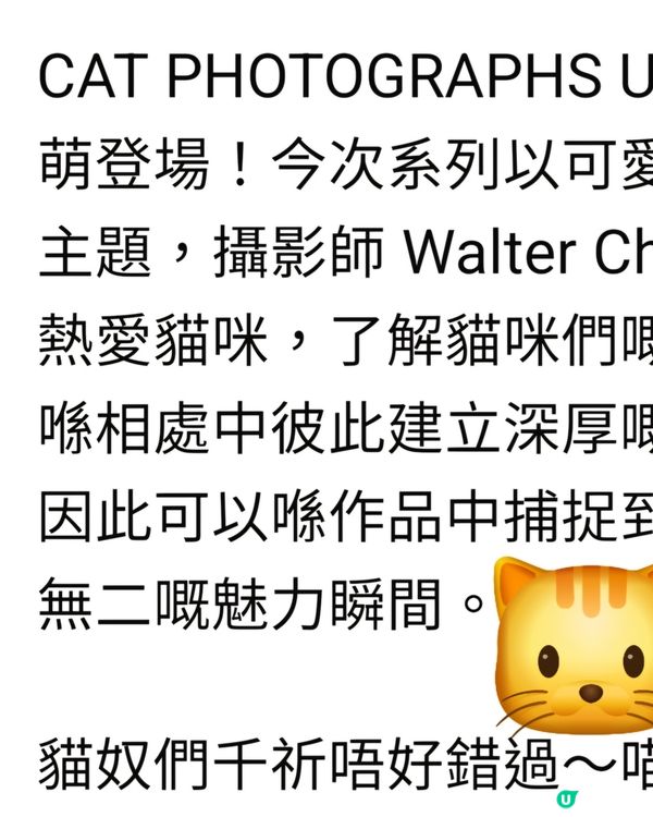 春裝好多貓咪衫