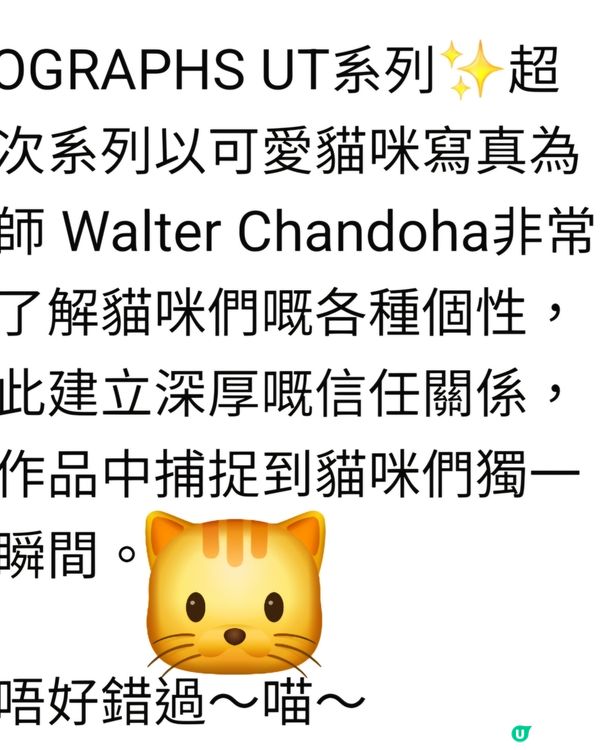 春裝好多貓咪衫