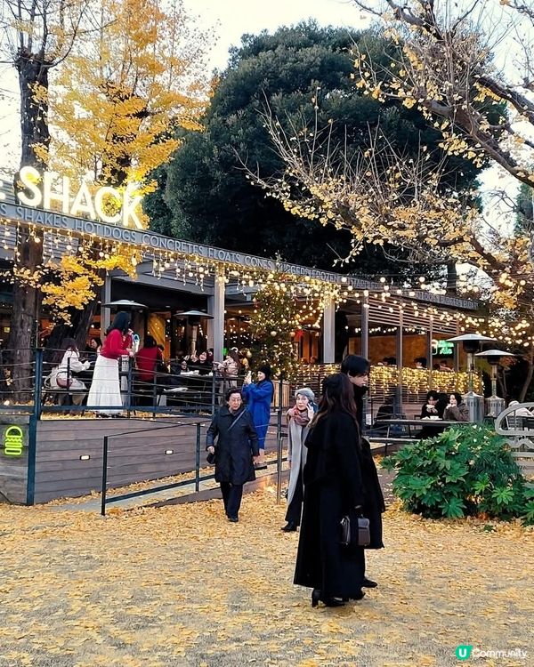 明治神宮外苑銀杏🍁！金黃隧道打卡📸！