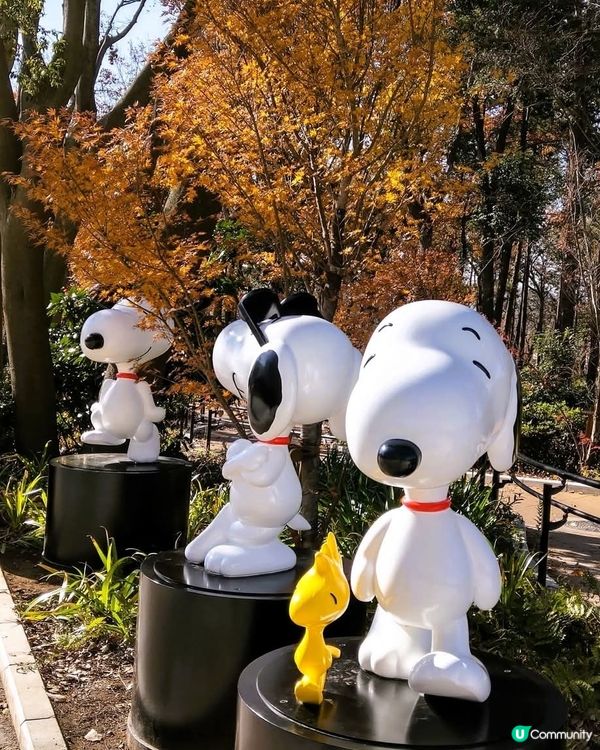 南町田一日遊！🛍️食買玩全攻略！🤩