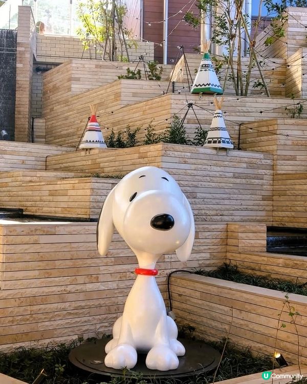 南町田一日遊！🛍️食買玩全攻略！🤩