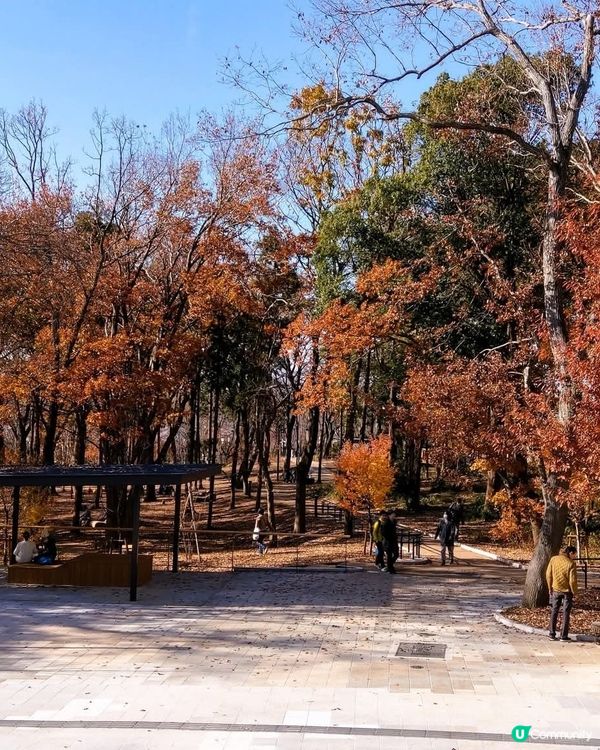 南町田一日遊！🛍️食買玩全攻略！🤩