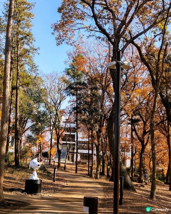 南町田一日遊！🛍️食買玩全攻略！🤩