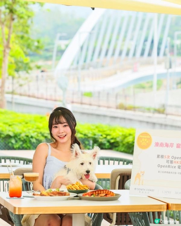 將軍澳 澳南海岸全新「Paws and Play」