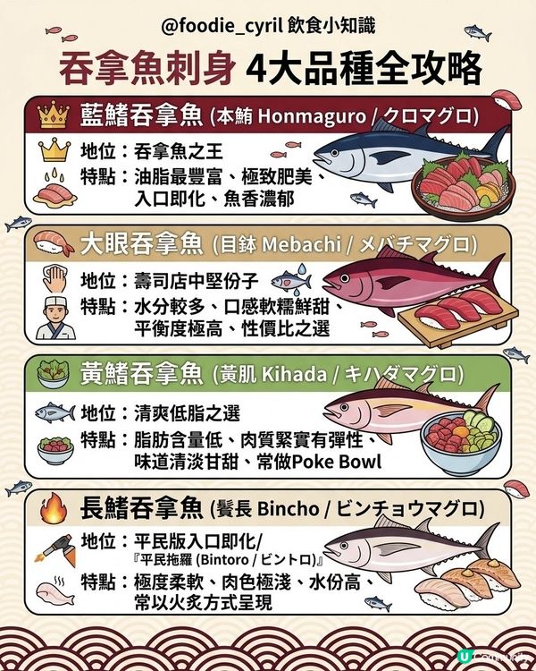 吞拿魚刺身🍣全攻略：4大常見🐟品種大解構📖
