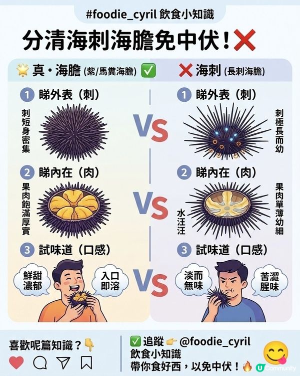 分清🔍海刺海膽🍣免中伏🛡️
