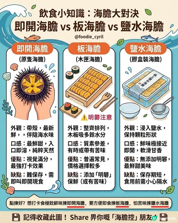 【即開🔪 vs 板裝 vs 鹽水🌊海膽】大解密😝！

