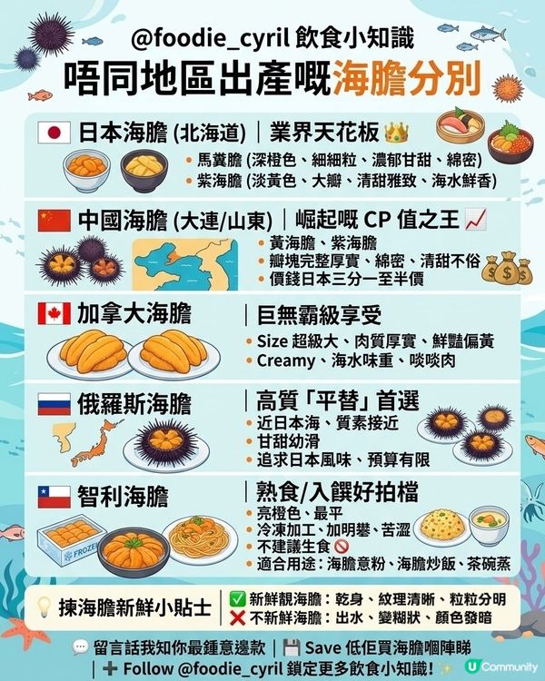 唔同地區 🌍 出產嘅海膽 🍣 分別