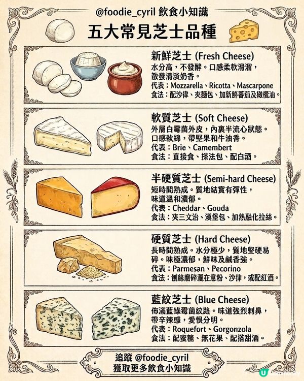 芝士控🧀必睇！一文📄睇清五大常見✨芝士品種