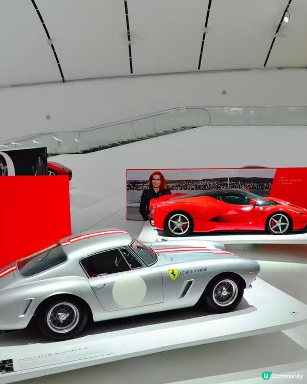 這兒就像在法拉利的 Showroom 一樣,看得一眾車就迷雙...