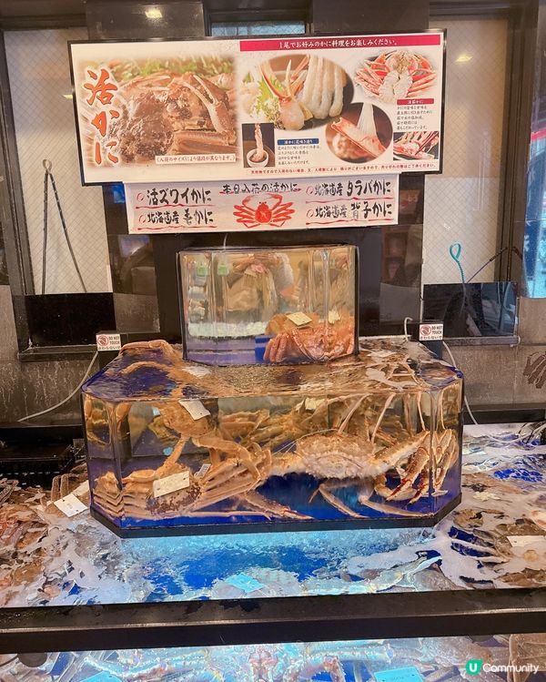 蟹控不能錯過｢蟹道樂｣｜大板🦀料理推介