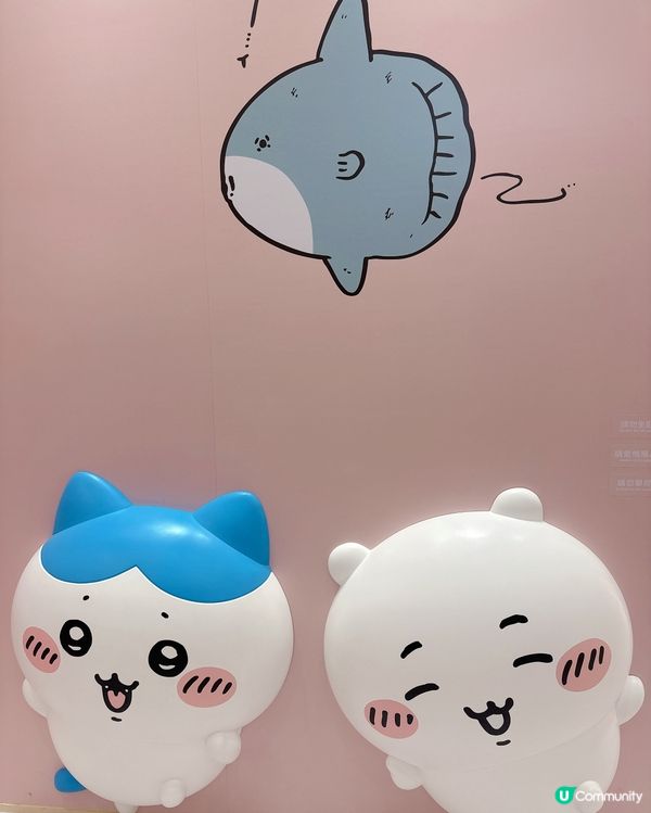 🇭🇰香港首間CHIIKAWA官方店列