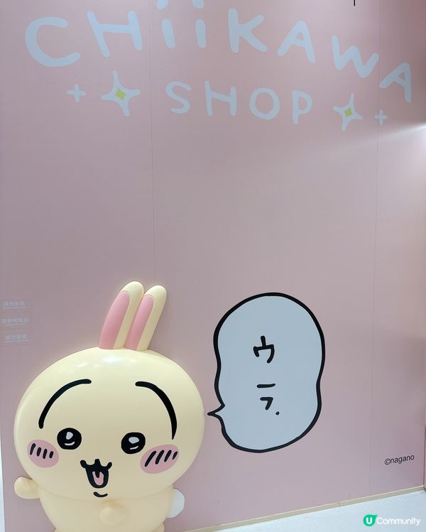 🇭🇰香港首間CHIIKAWA官方店列