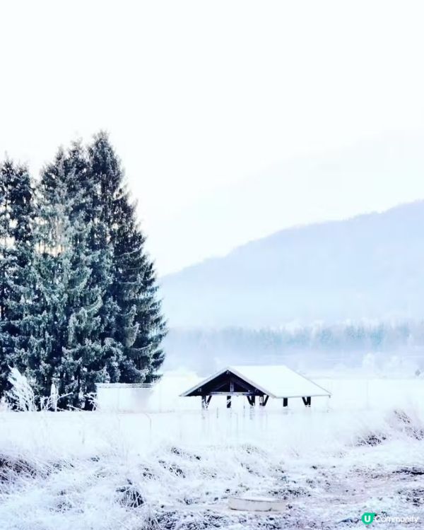 阿爾卑斯山下的寧靜小村|意大利冬日