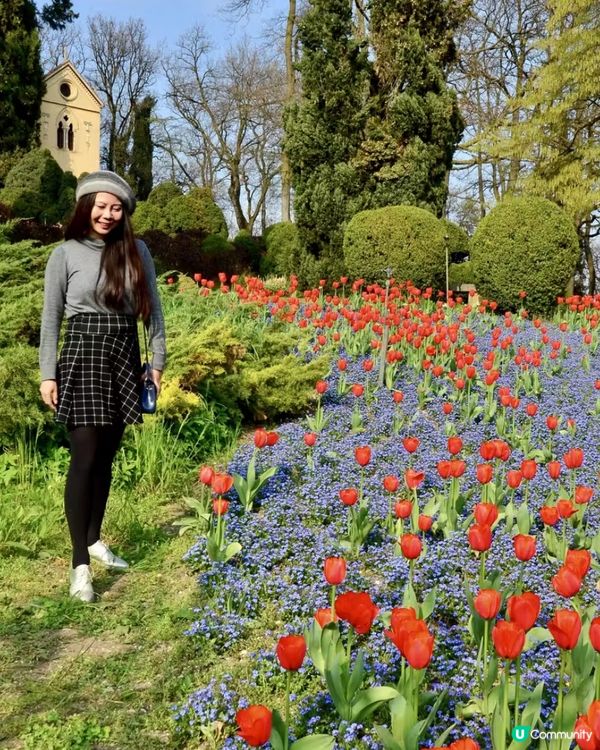 是鬱金香的季節!春日就是要去賞花,遠離一下城市,走近大自然!...