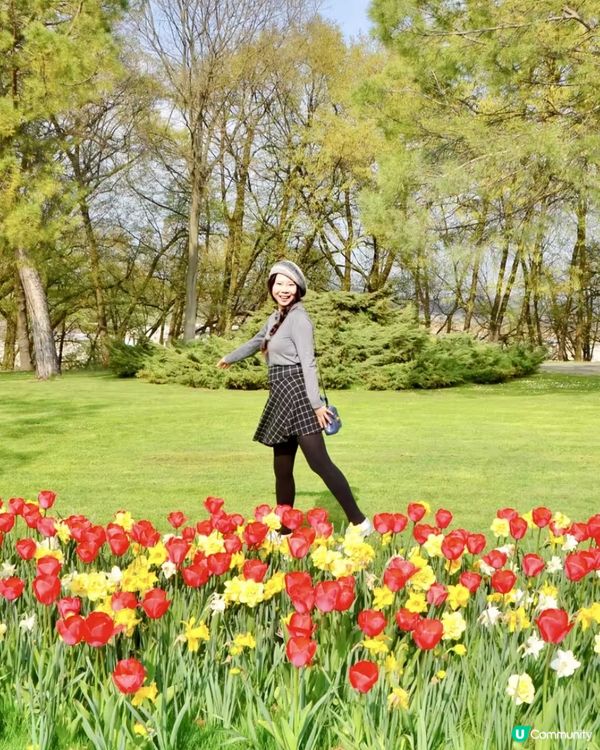 是鬱金香的季節!春日就是要去賞花,遠離一下城市,走近大自然!...