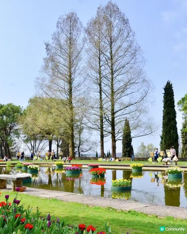 是鬱金香的季節!春日就是要去賞花,遠離一下城市,走近大自然!...